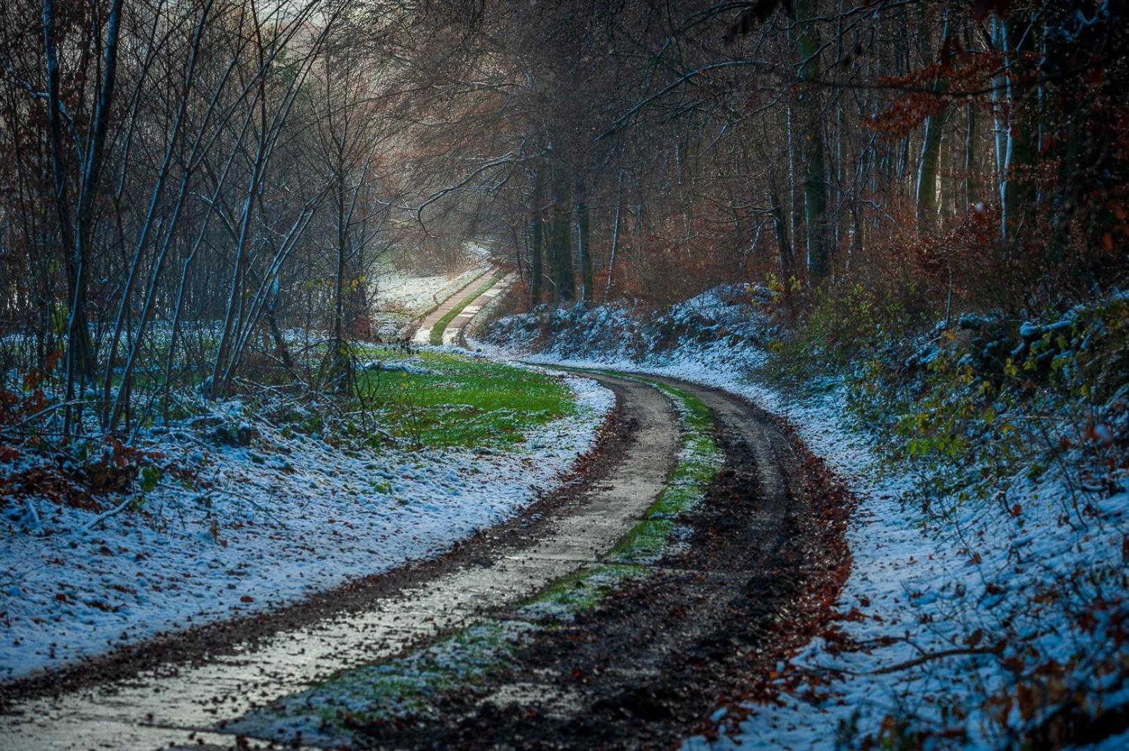 Dworek Atrium Tomaszów Lubelski المظهر الخارجي الصورة